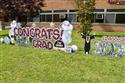 DSC_0001_(1)-1
